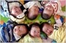 꼬꼬마 특공대여<br>출동~