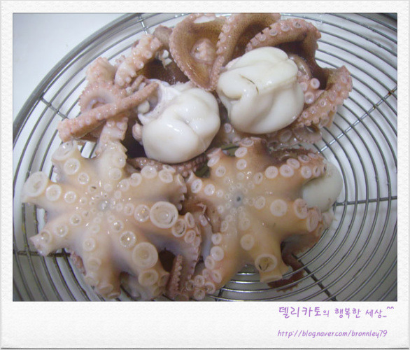 쭈꾸미가 이미지